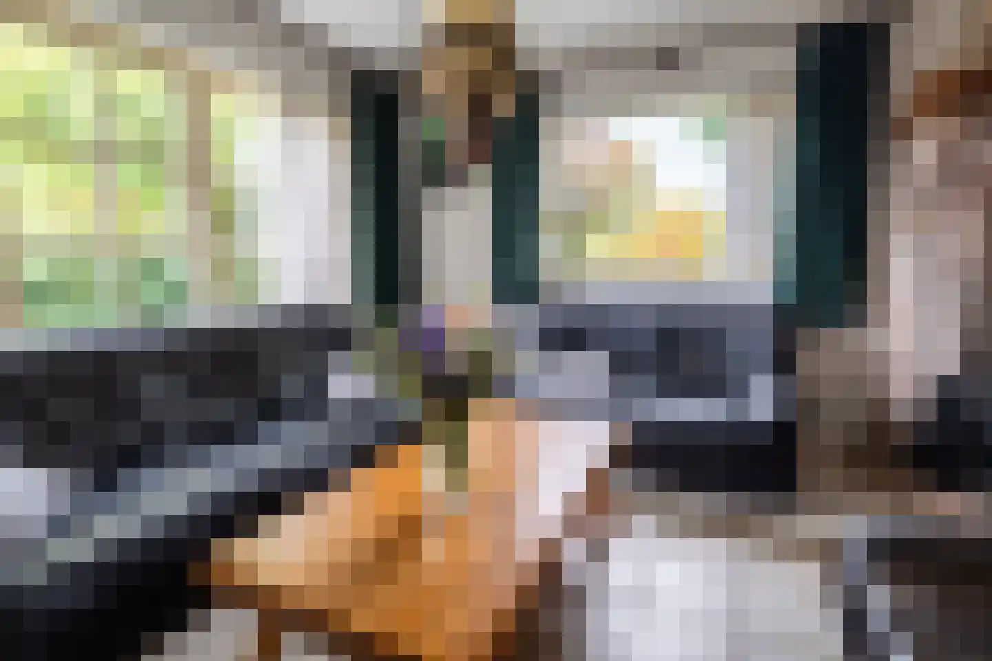 Heistraat 127 Sprang-Capelle thumbnail 35