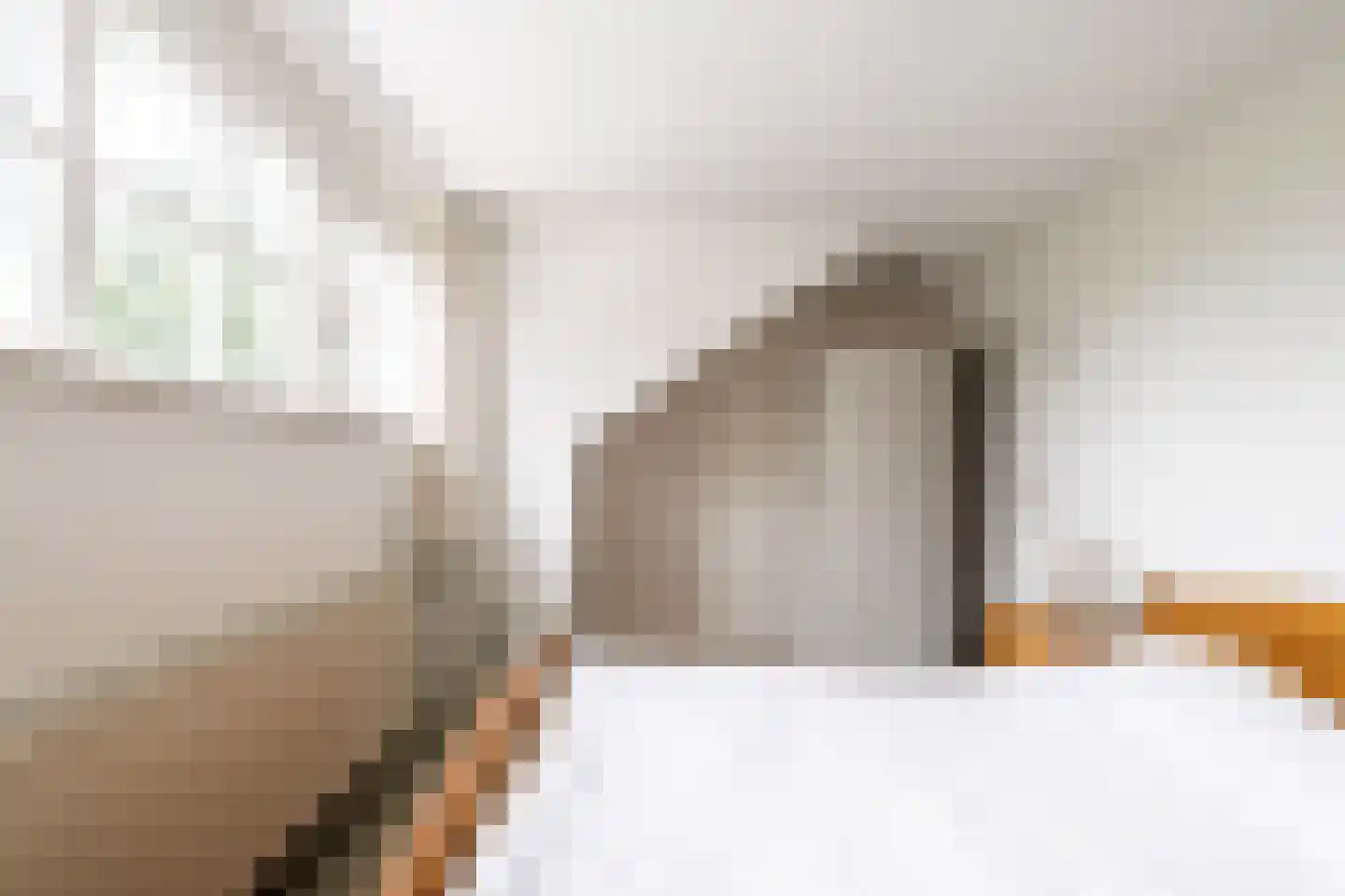 Heistraat 127 Sprang-Capelle thumbnail 53