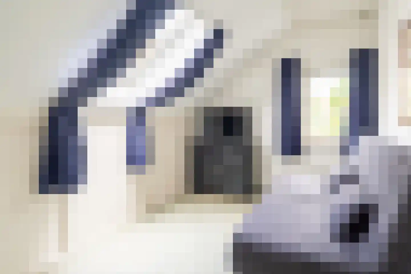 Heistraat 127 Sprang-Capelle thumbnail 61
