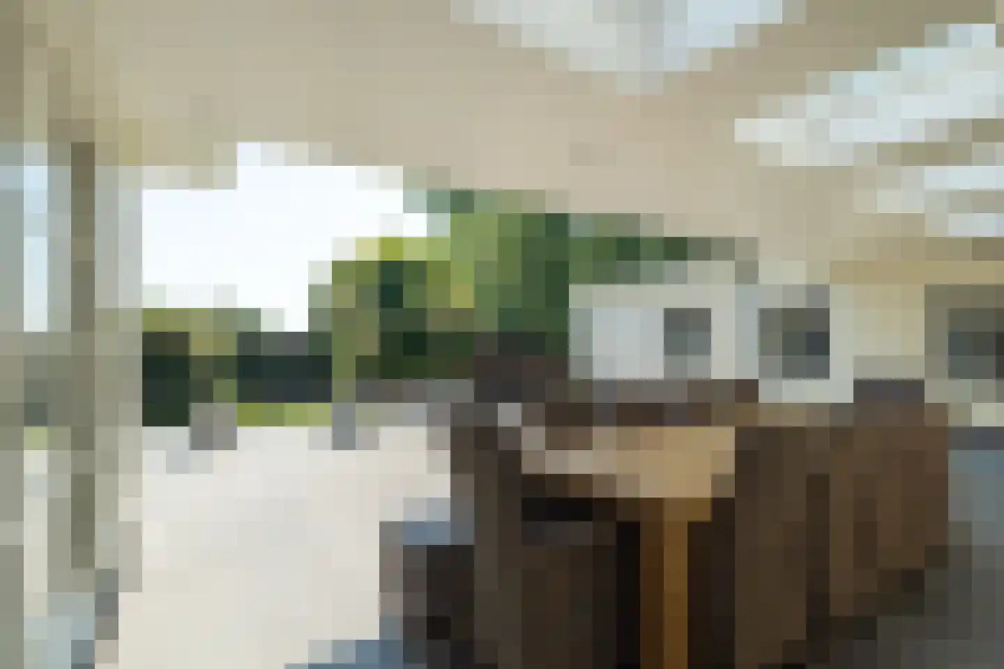 Heistraat 127 Sprang-Capelle thumbnail 70