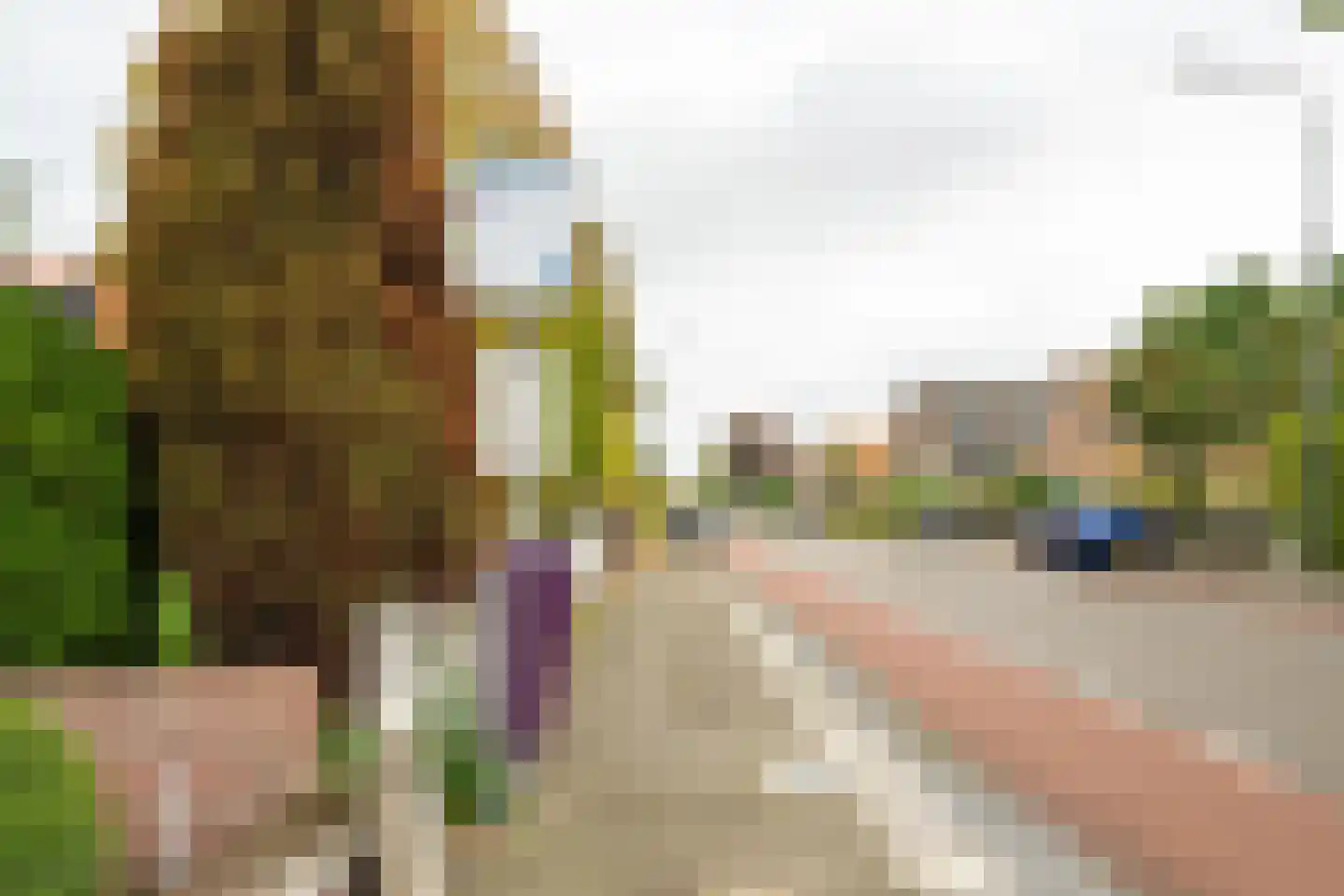 Heistraat 127 Sprang-Capelle thumbnail 92