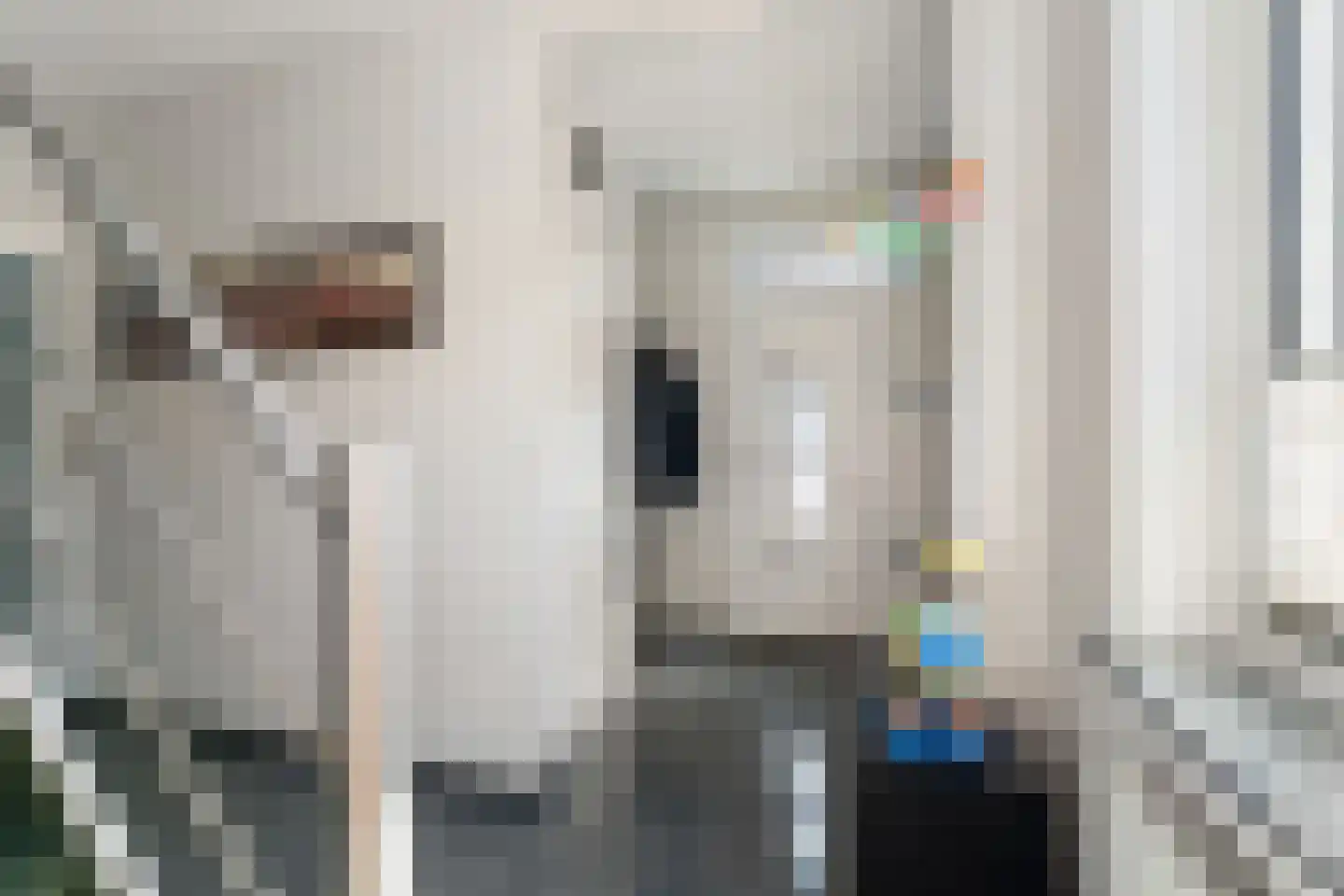 Heistraat 14 Einighausen thumbnail 10