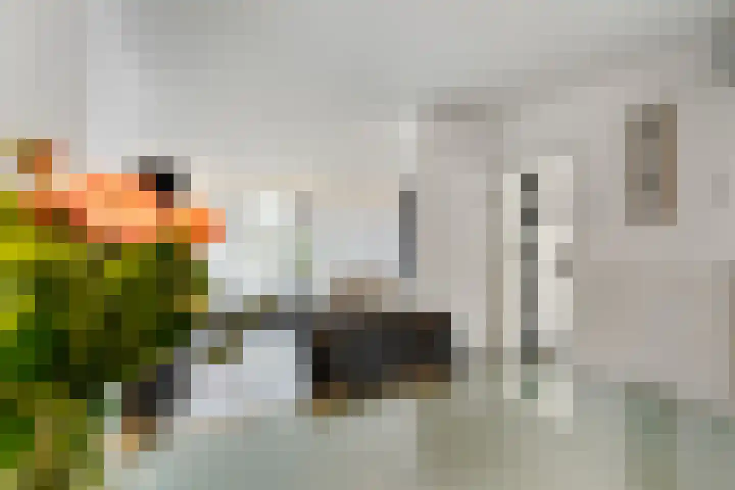 Heistraat 14 Einighausen thumbnail 33