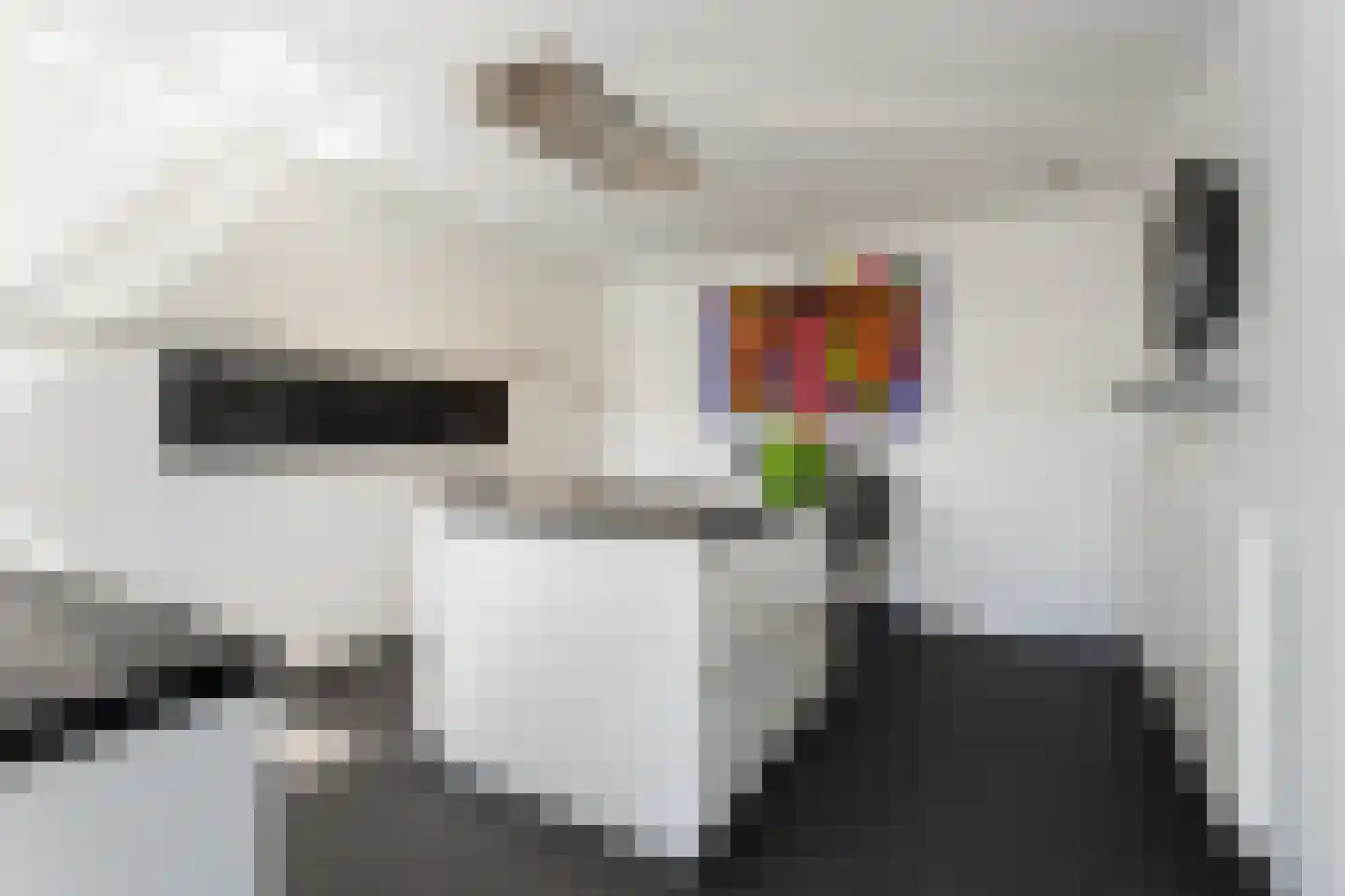 Heistraat 14 Einighausen thumbnail 42