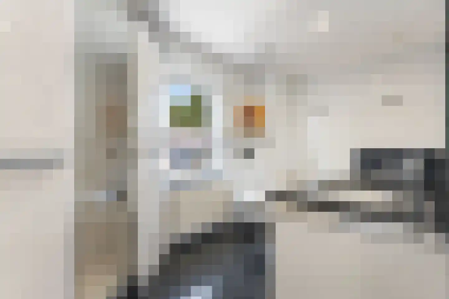 Heistraat 14 Einighausen thumbnail 49