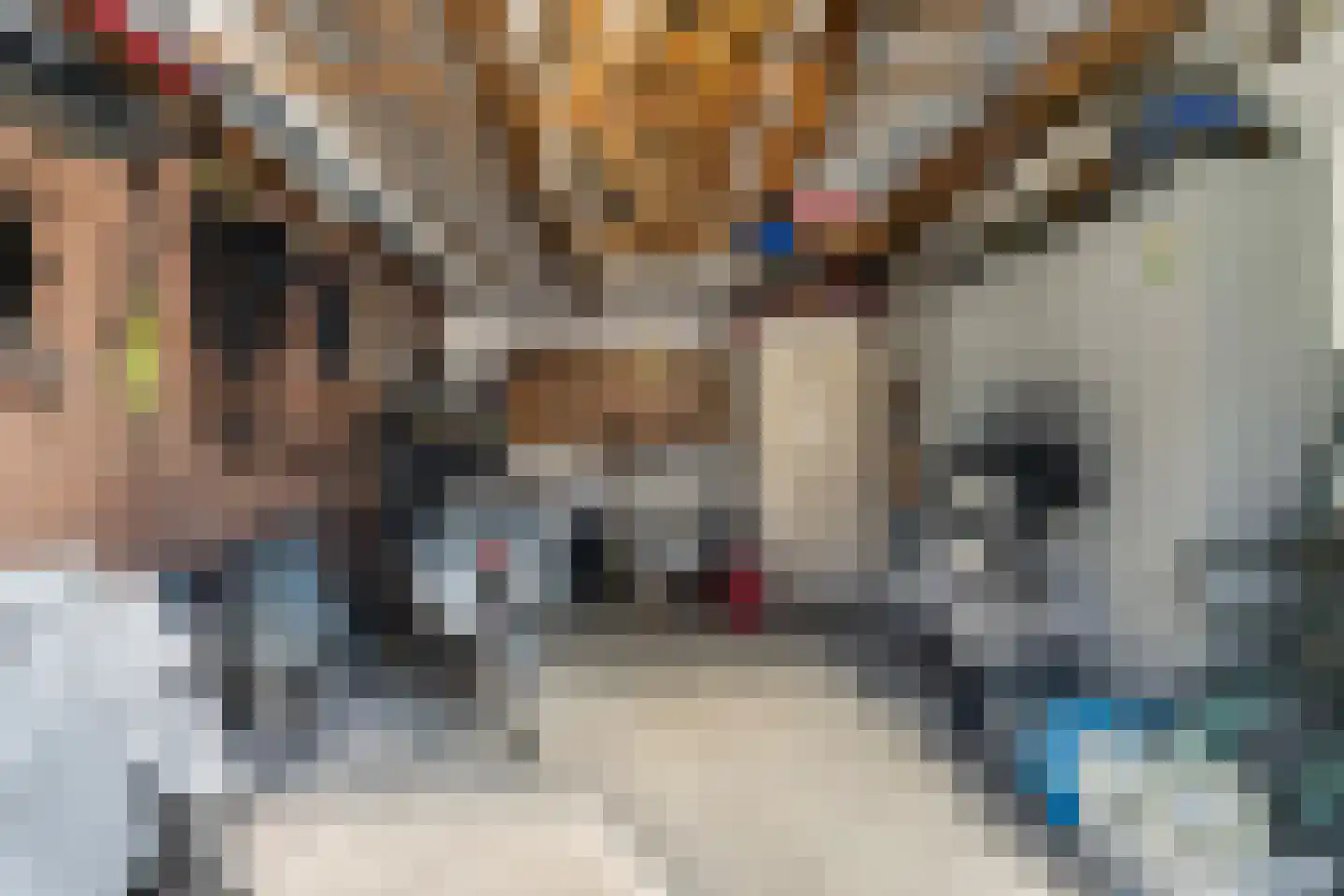 Heistraat 14 Einighausen thumbnail 59