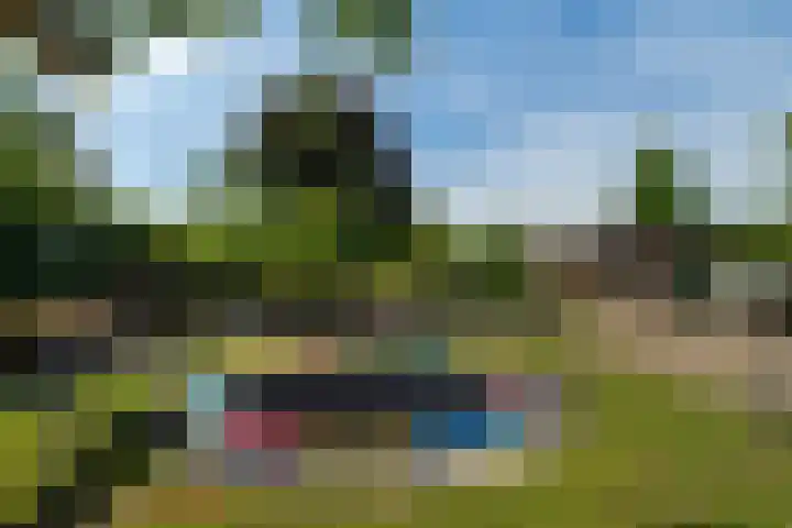 Heistraat 155 Sprang-Capelle thumbnail 14