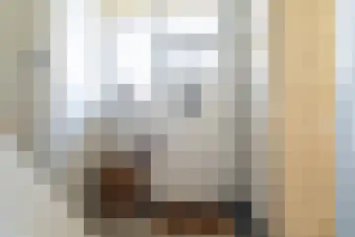 Heistraat 155 Sprang-Capelle thumbnail 32