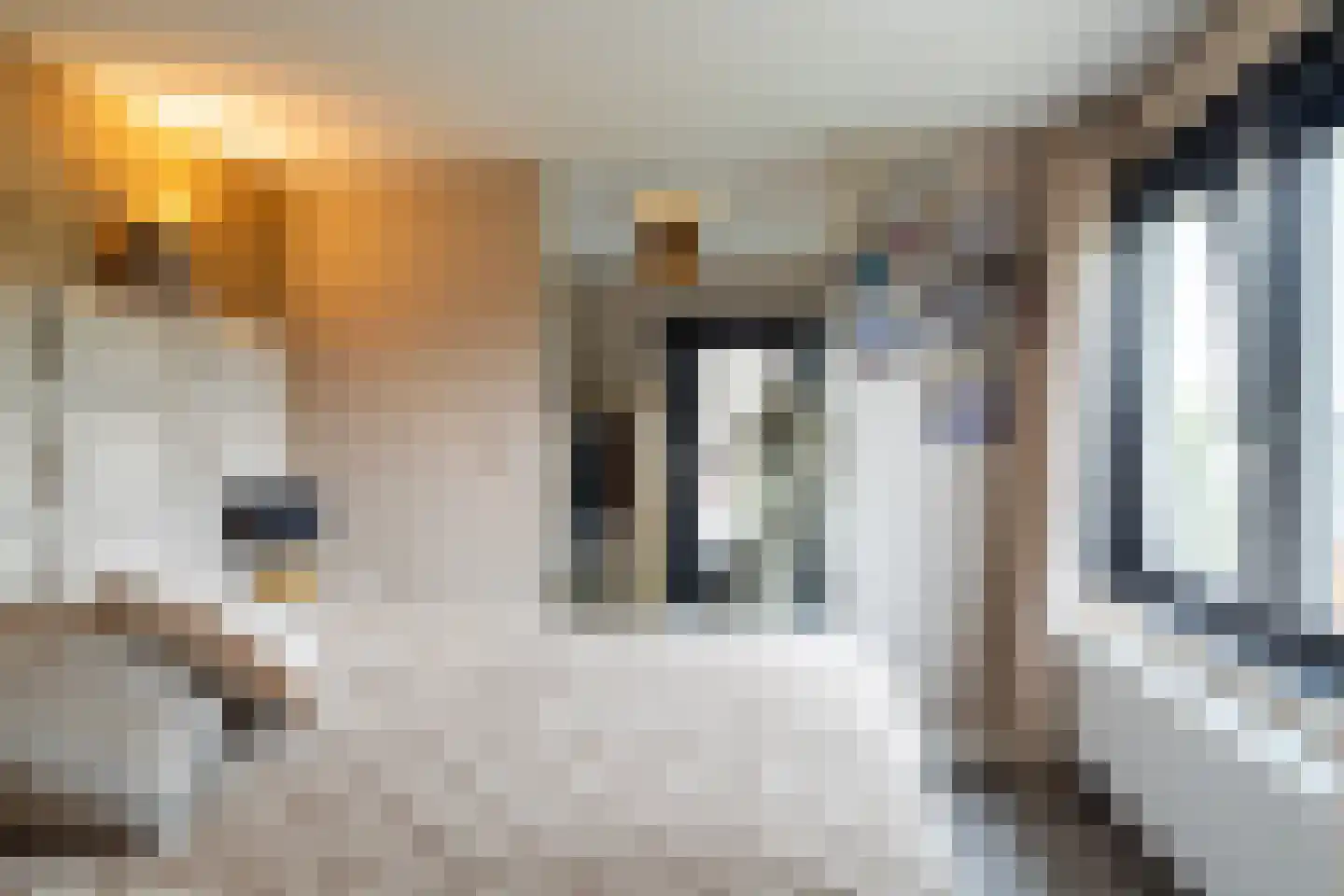 Heistraat 176 Sprang-Capelle thumbnail 24