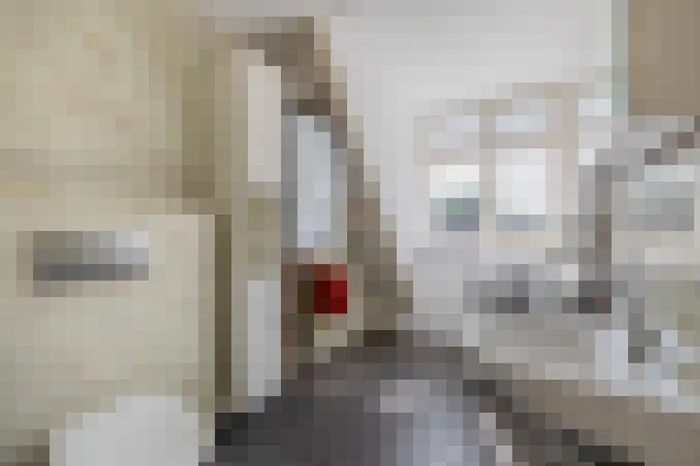 Heistraat 193 Sprang-Capelle thumbnail 30