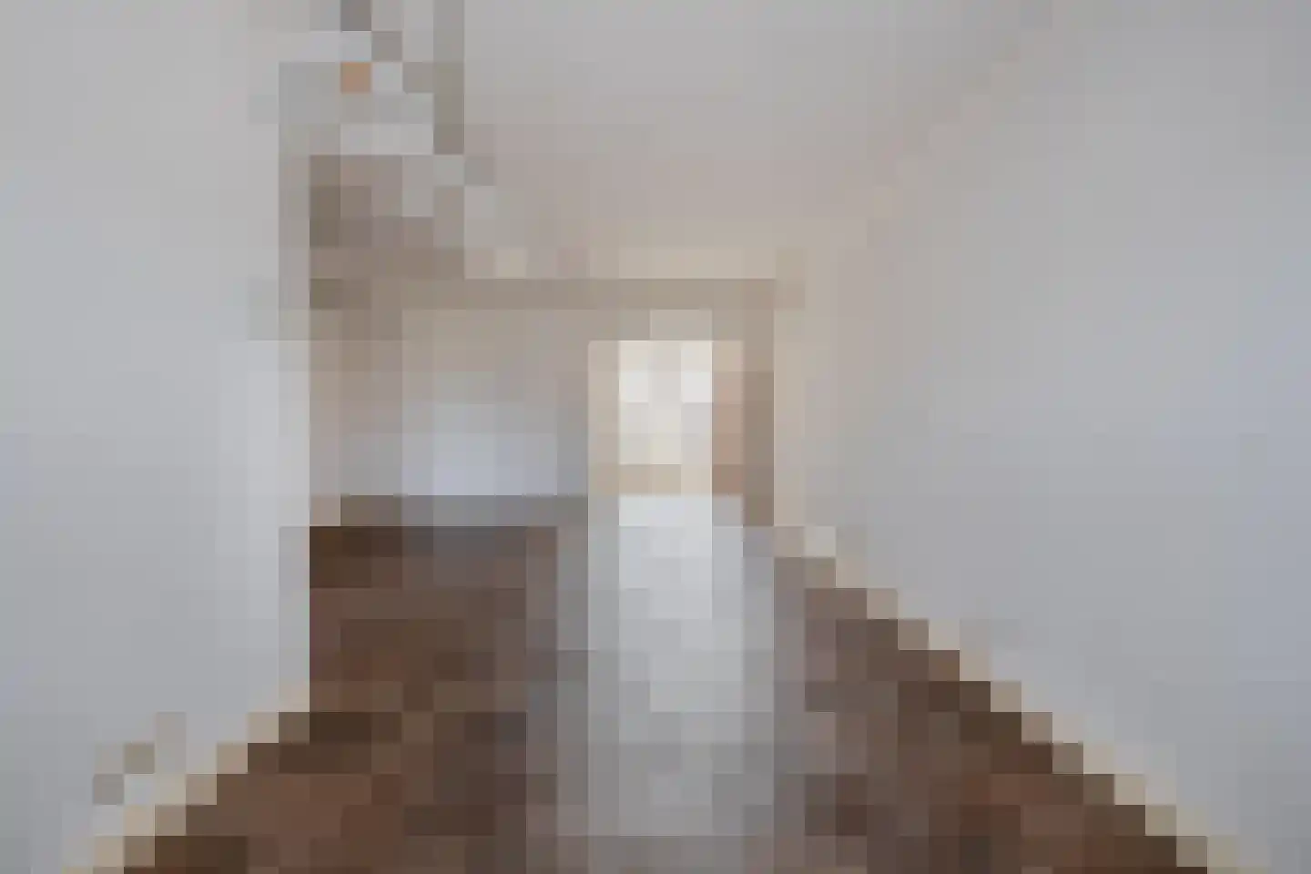 Heistraat 193 Sprang-Capelle thumbnail 8