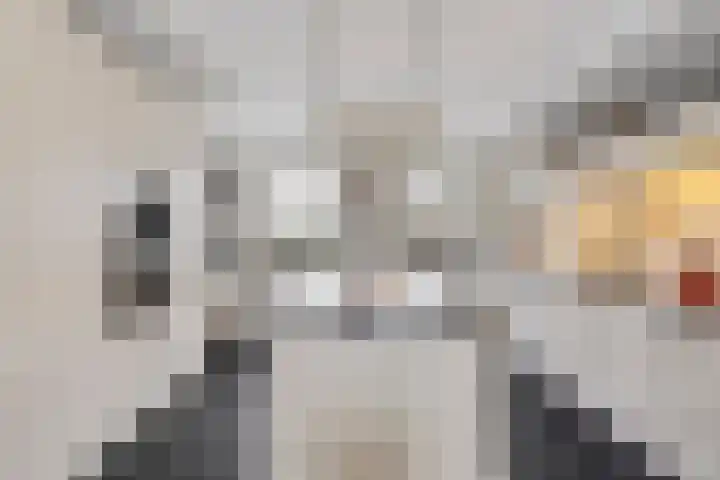 Heistraat 2 Hoeven thumbnail 13
