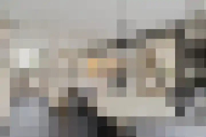Heistraat 2 Hoeven thumbnail 14