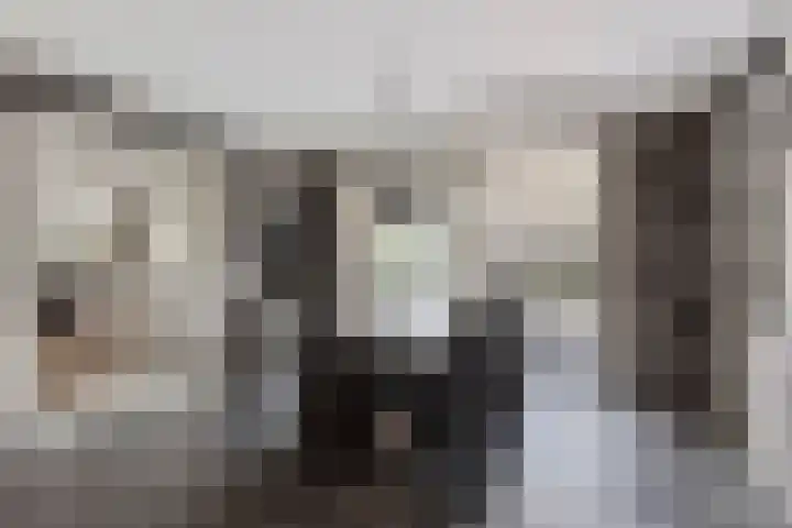 Heistraat 2 Hoeven thumbnail 15