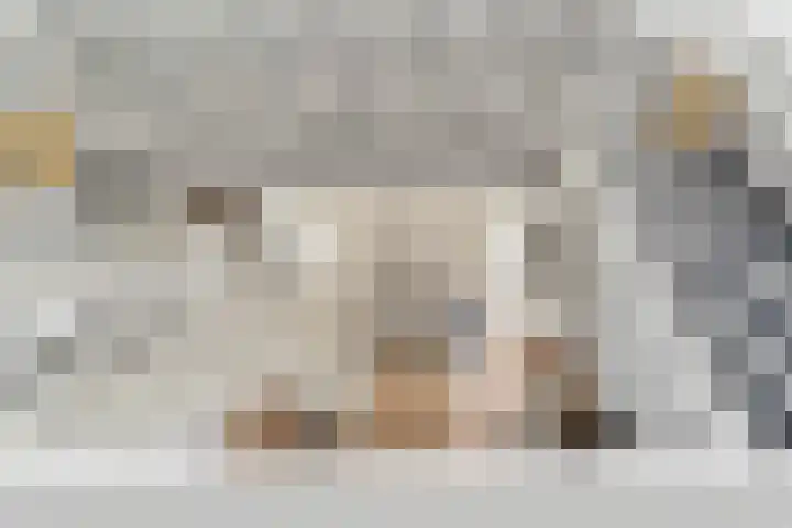 Heistraat 2 Hoeven thumbnail 22