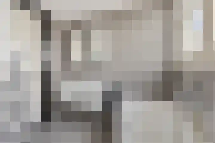 Heistraat 2 Hoeven thumbnail 26