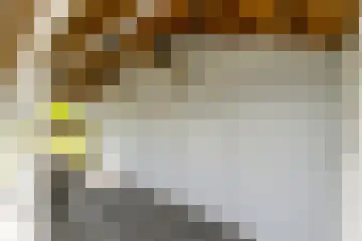 Heistraat 2 Hoeven thumbnail 30