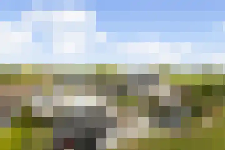 Heistraat 2 Hoeven thumbnail 36