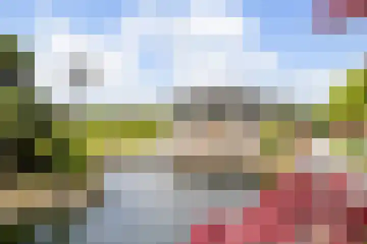 Heistraat 2 Hoeven thumbnail 39