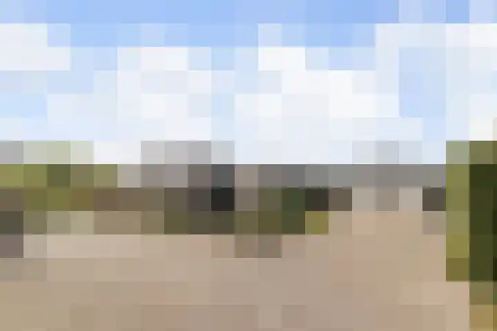 Heistraat 2 Hoeven thumbnail 4
