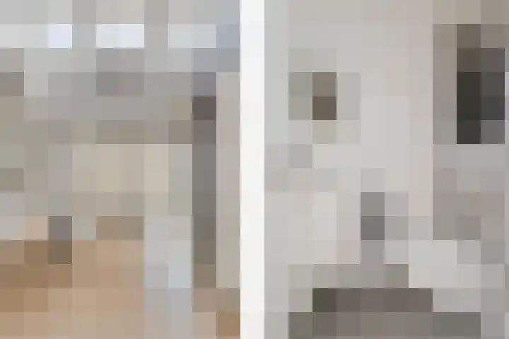Heistraat 2 Hoeven thumbnail 6