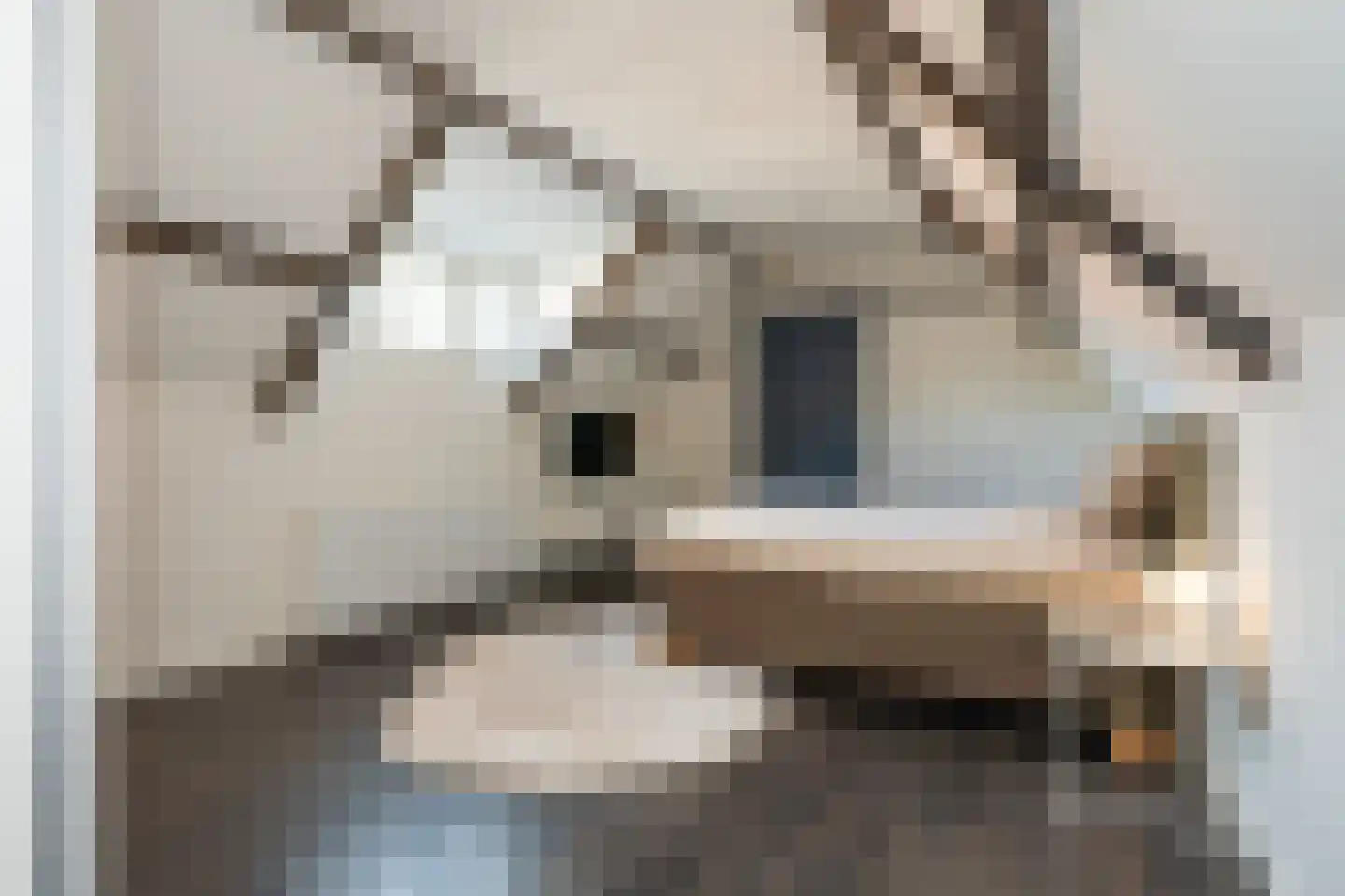 Heistraat 2 Sittard thumbnail 36