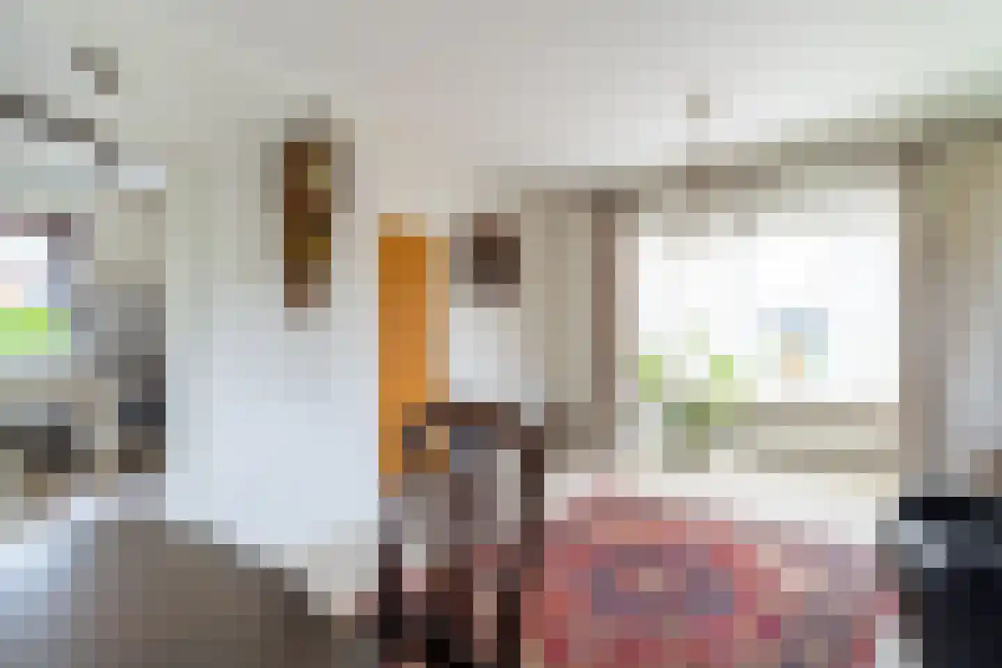 Heistraat 202 Sprang-Capelle thumbnail 11
