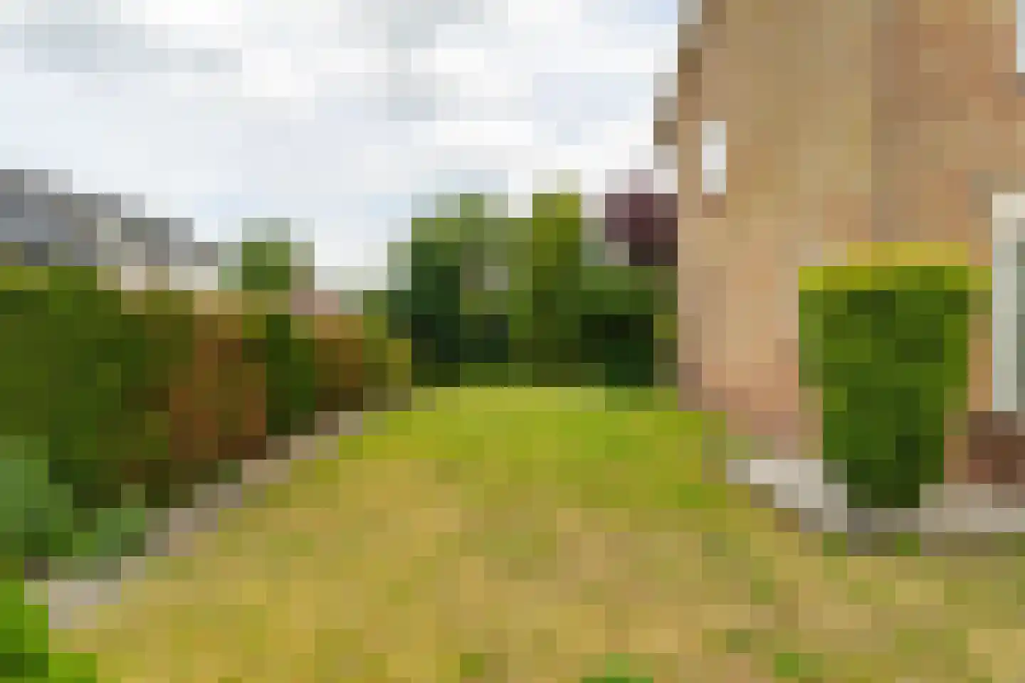 Heistraat 202 Sprang-Capelle thumbnail 26