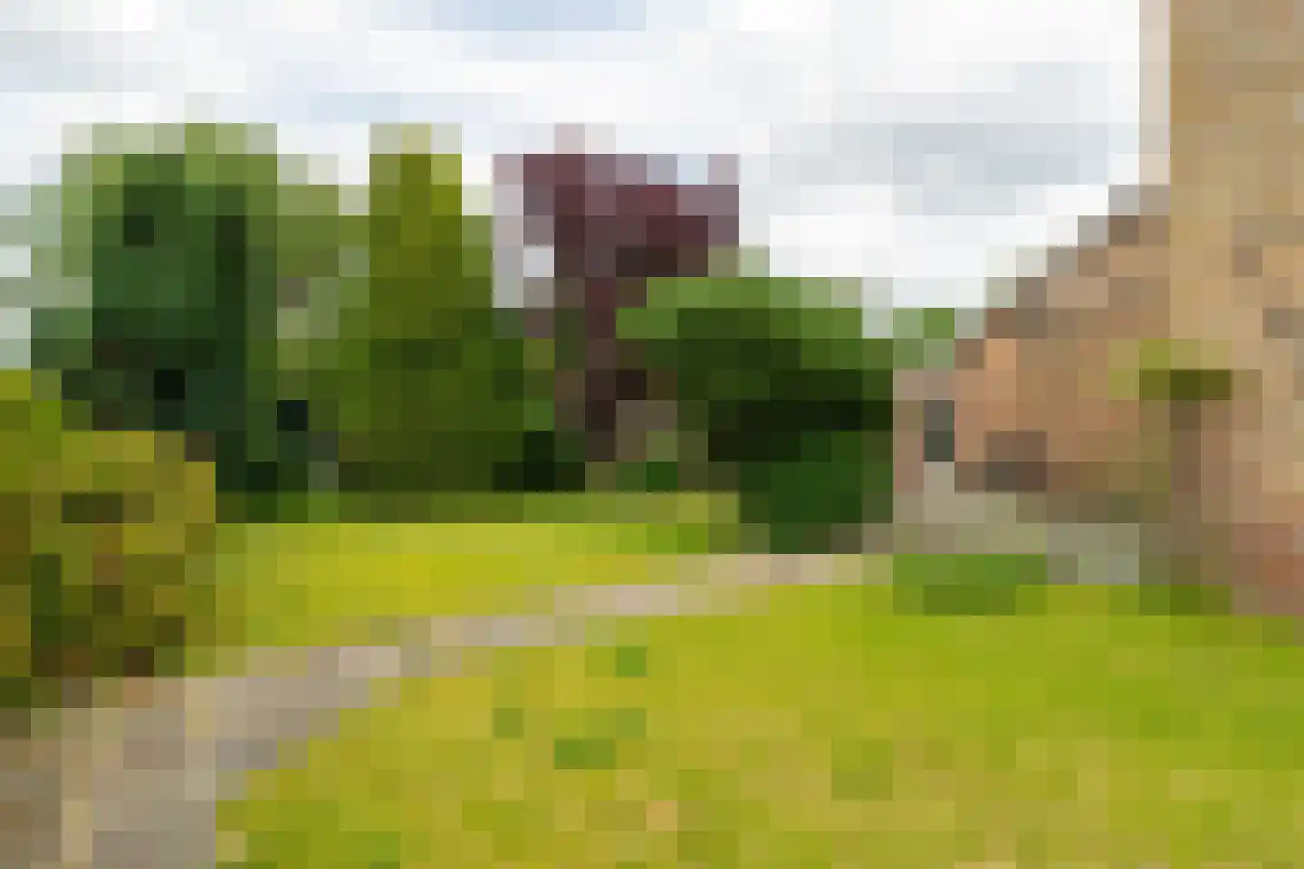 Heistraat 202 Sprang-Capelle thumbnail 28