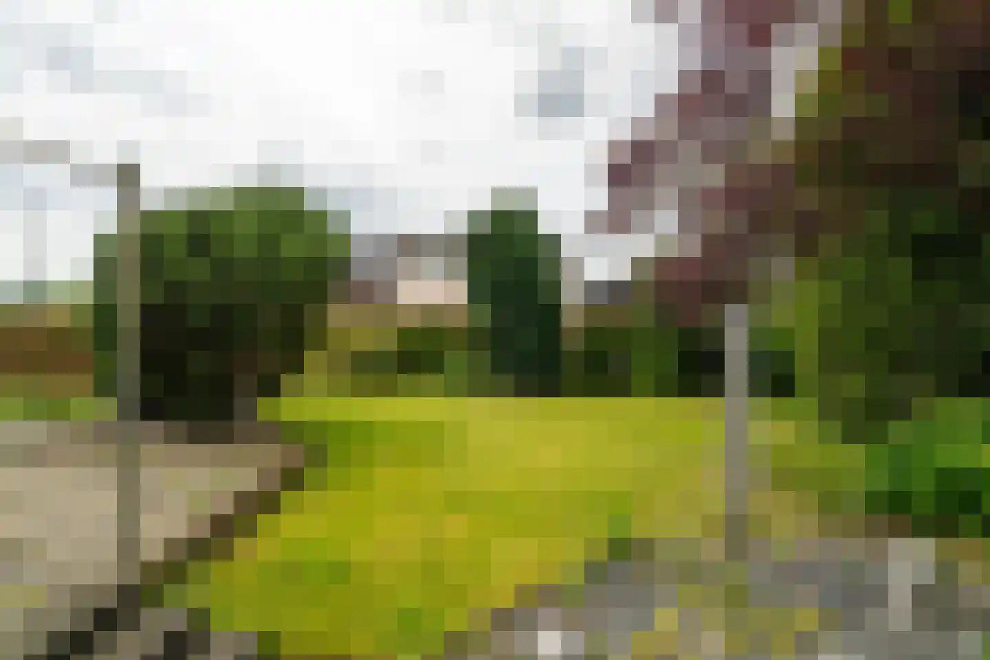 Heistraat 202 Sprang-Capelle thumbnail 30