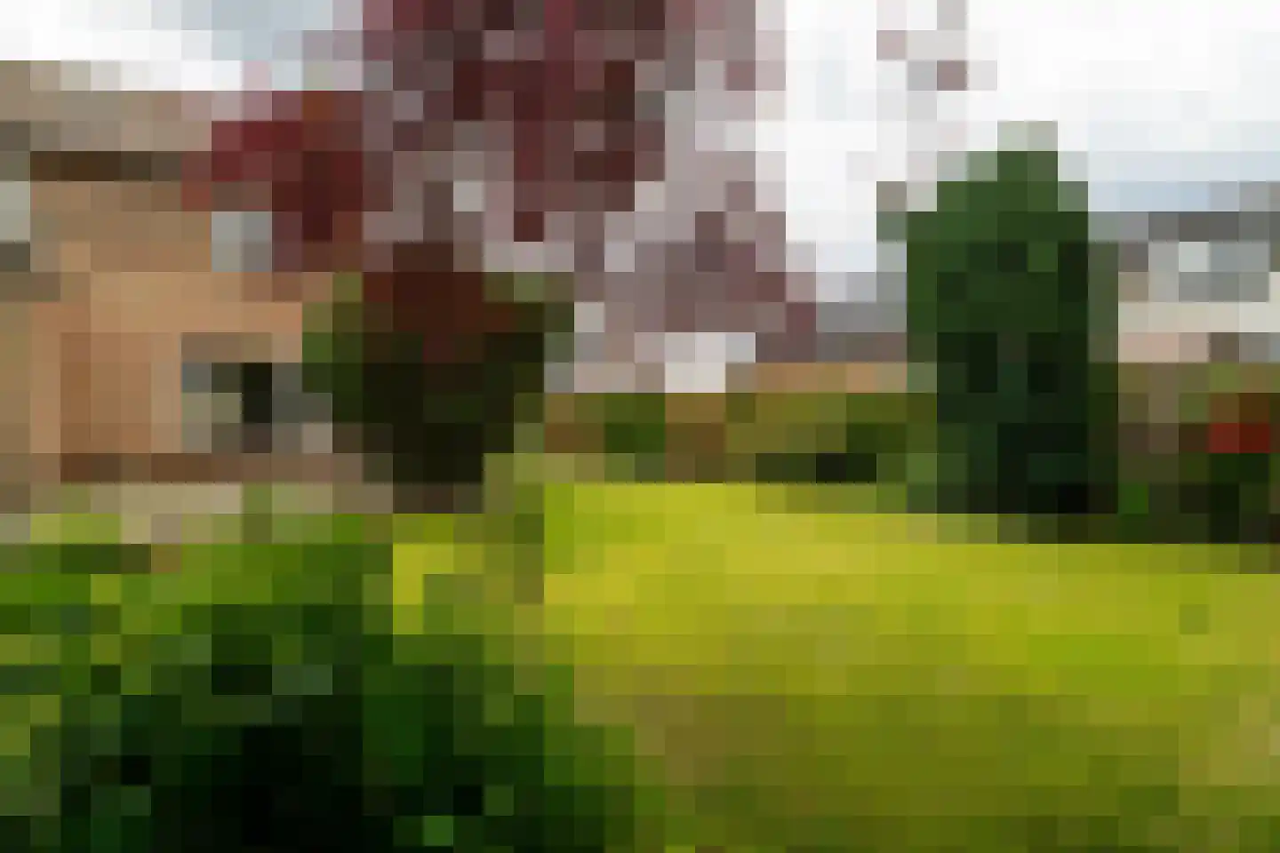 Heistraat 202 Sprang-Capelle thumbnail 31