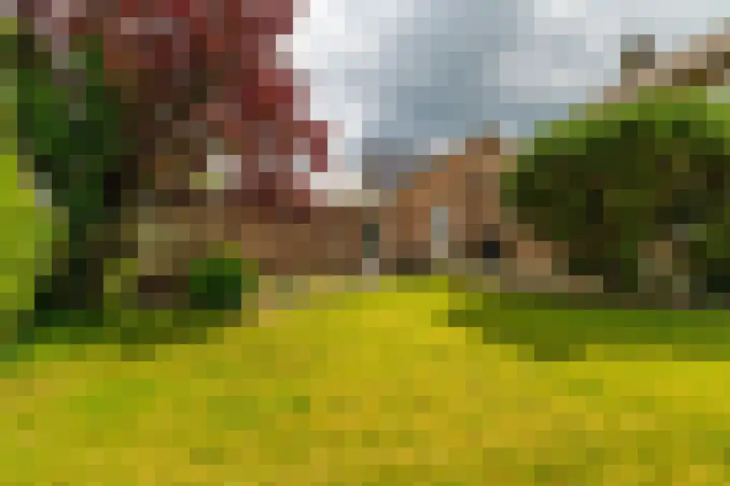 Heistraat 202 Sprang-Capelle thumbnail 32