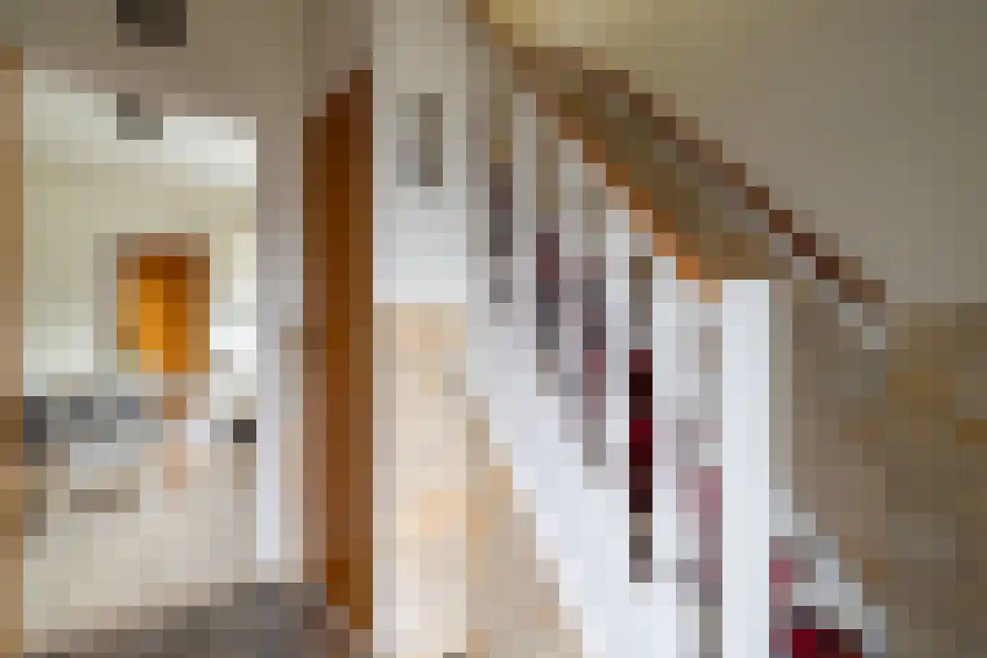 Heistraat 202 Sprang-Capelle thumbnail 7