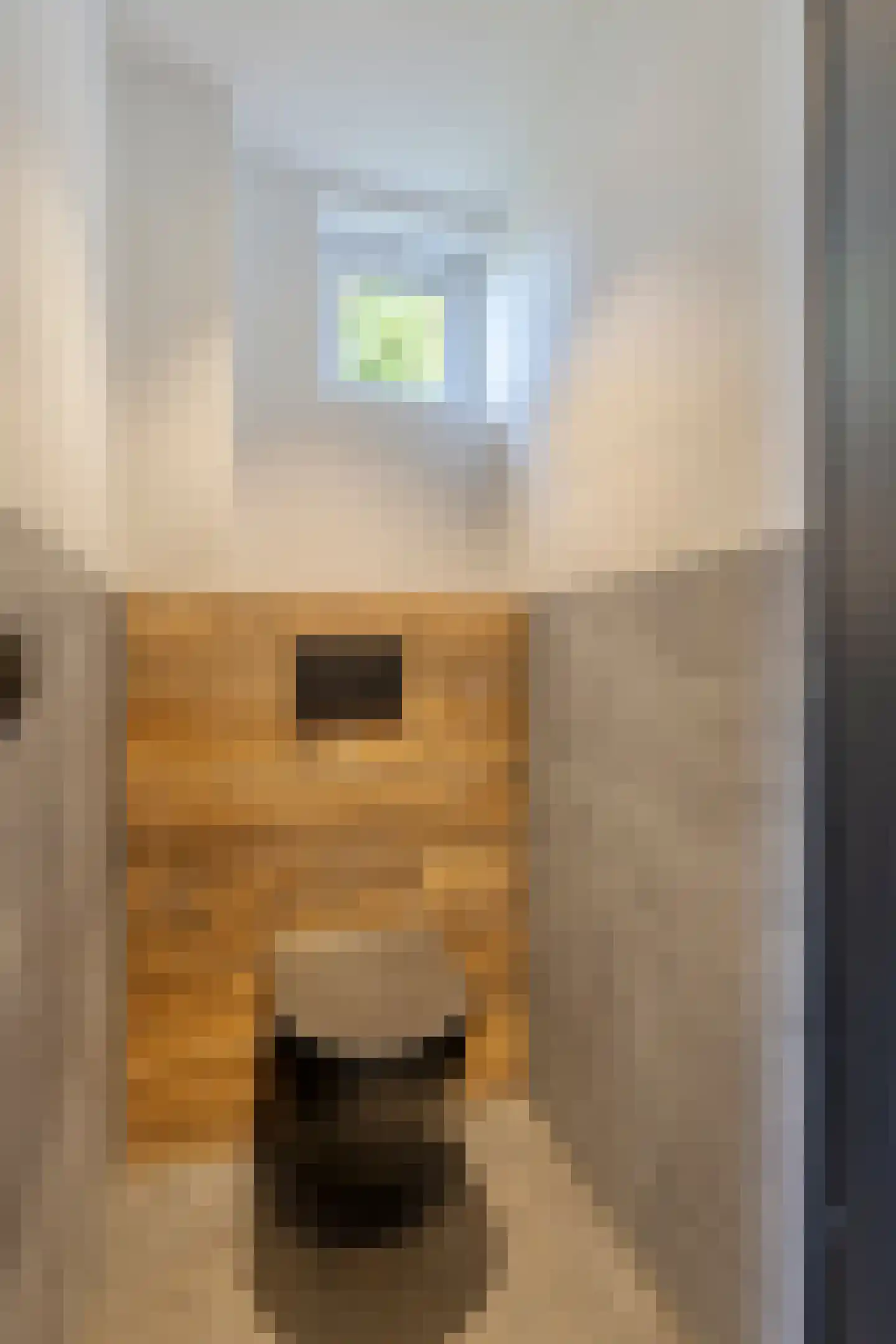 Heistraat 21 Vlijmen thumbnail 15