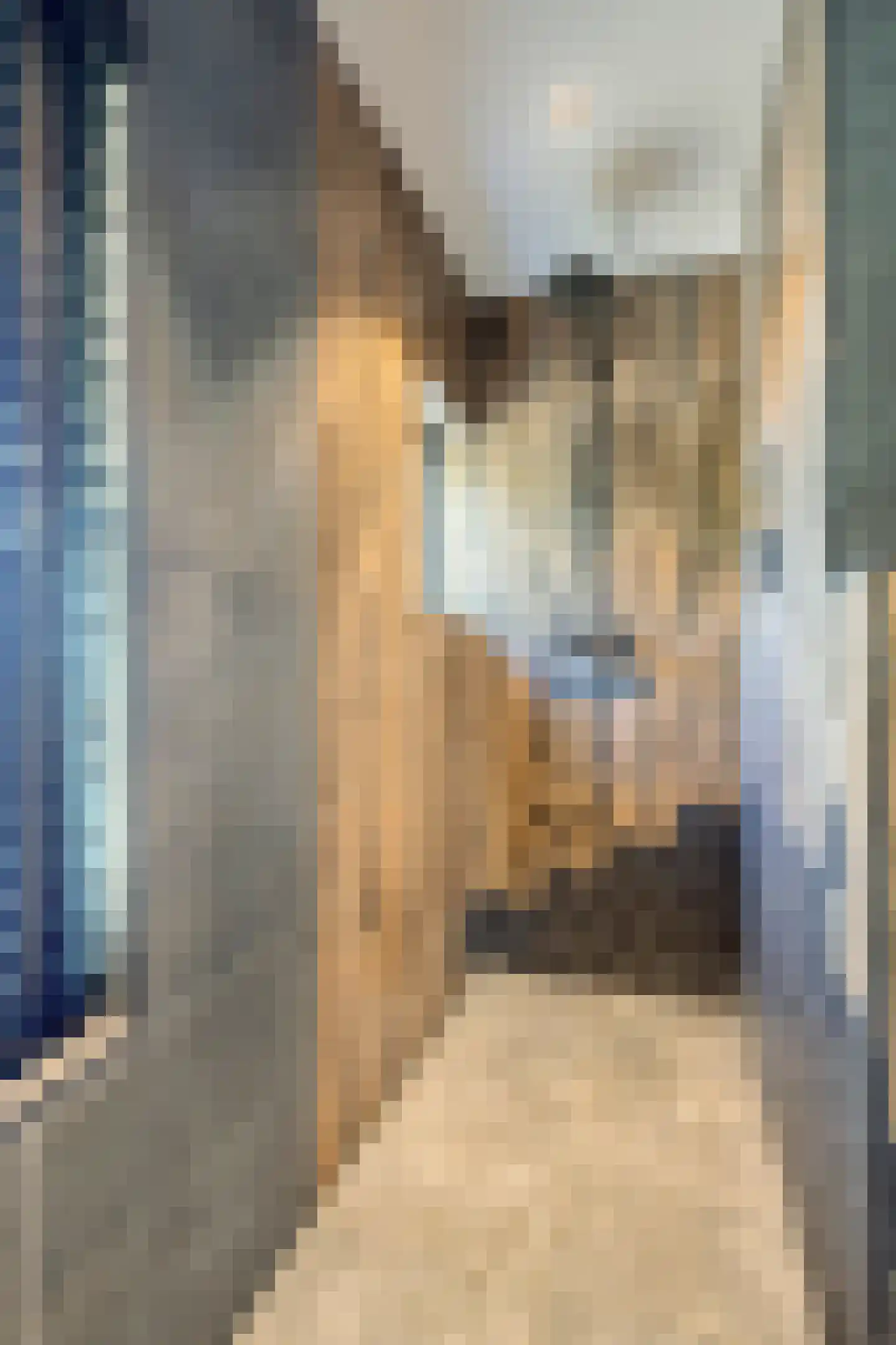 Heistraat 21 Vlijmen thumbnail 24