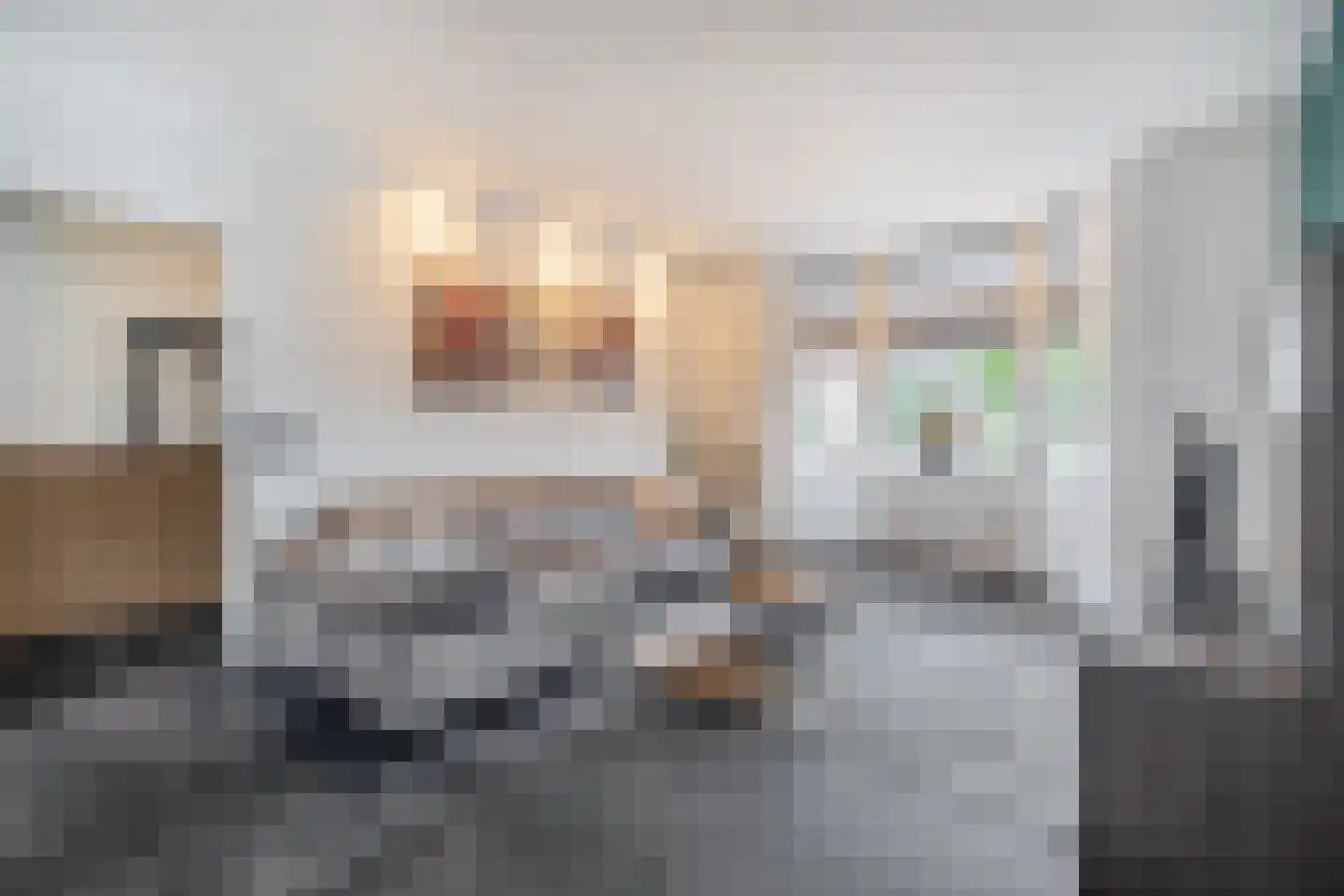Heistraat 213 Sprang-Capelle thumbnail 10