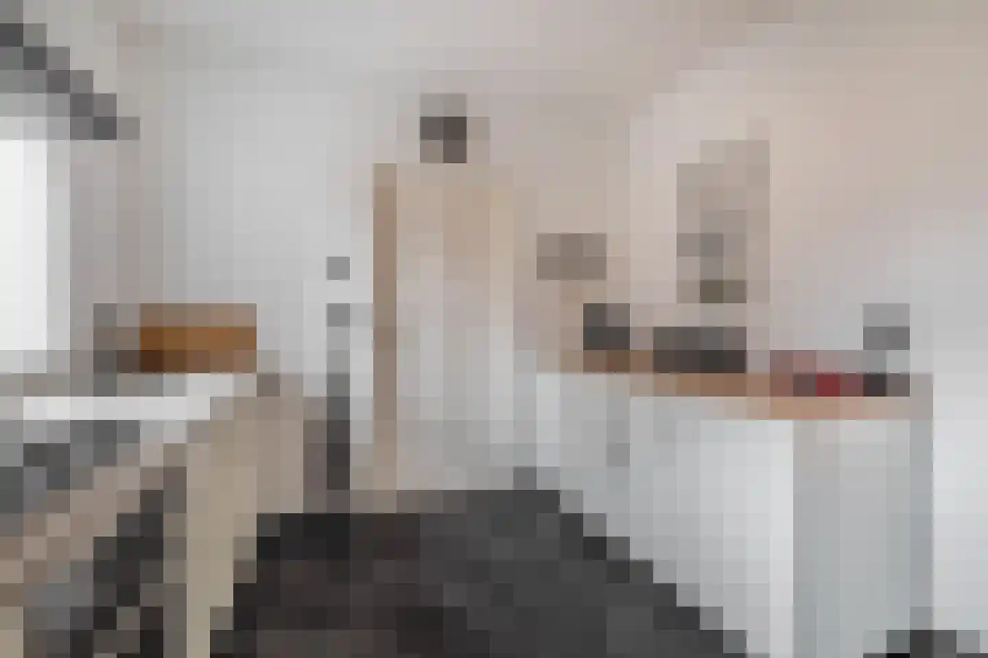 Heistraat 213 Sprang-Capelle thumbnail 13