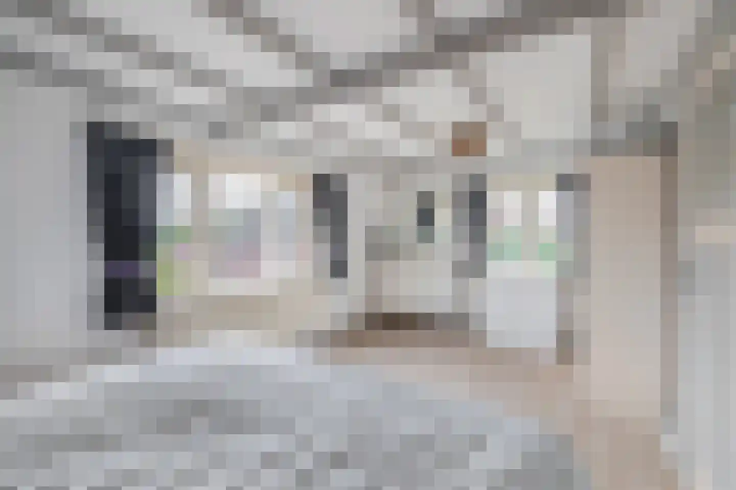 Heistraat 213 Sprang-Capelle thumbnail 24