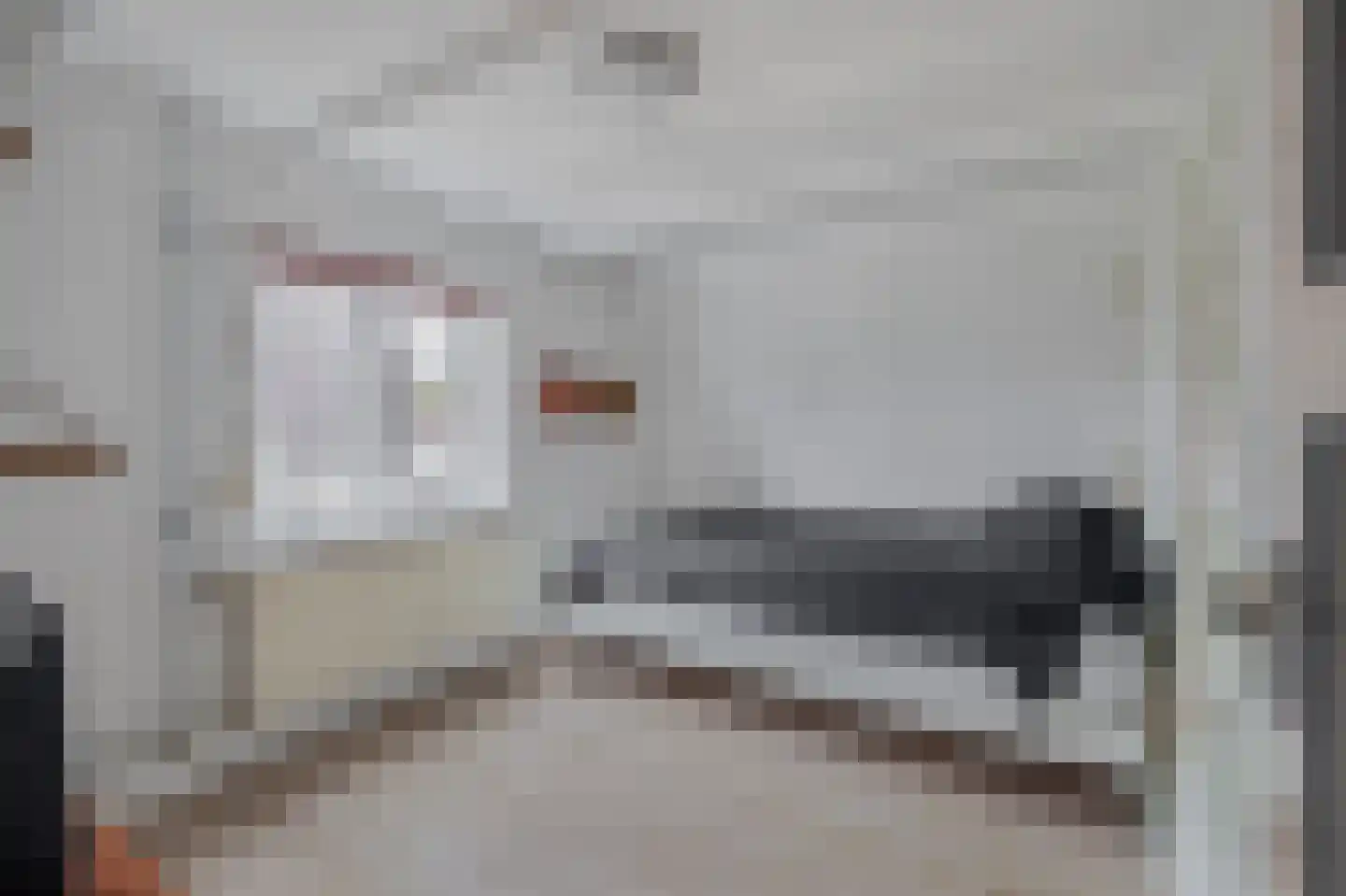 Heistraat 213 Sprang-Capelle thumbnail 27