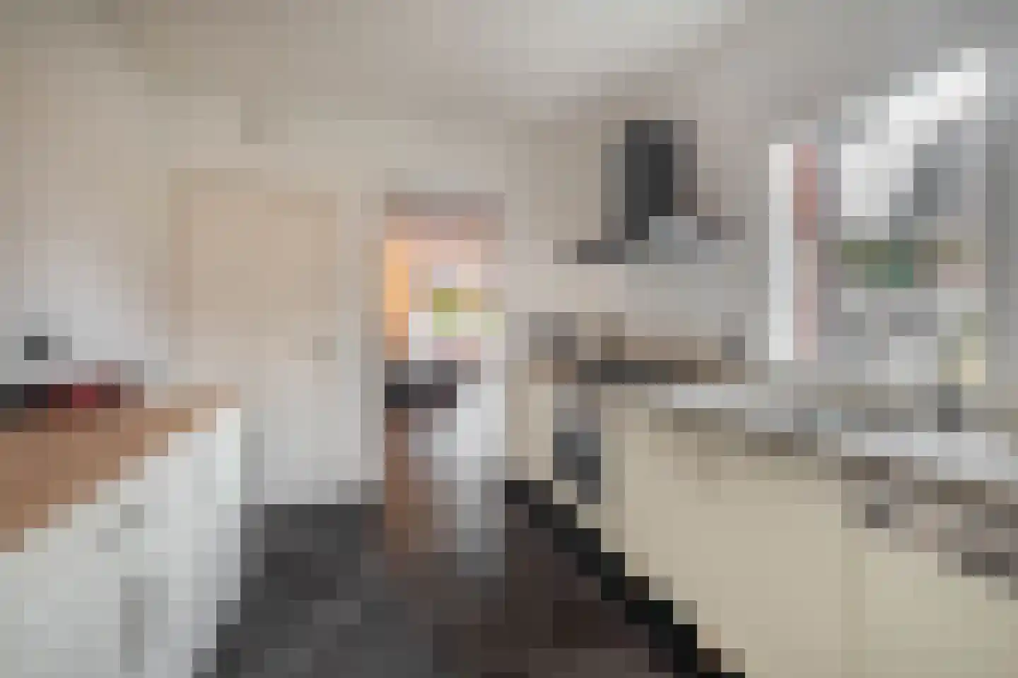Heistraat 213 Sprang-Capelle thumbnail 4