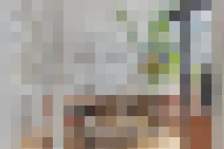 Heistraat 23 Eindhoven thumbnail 14