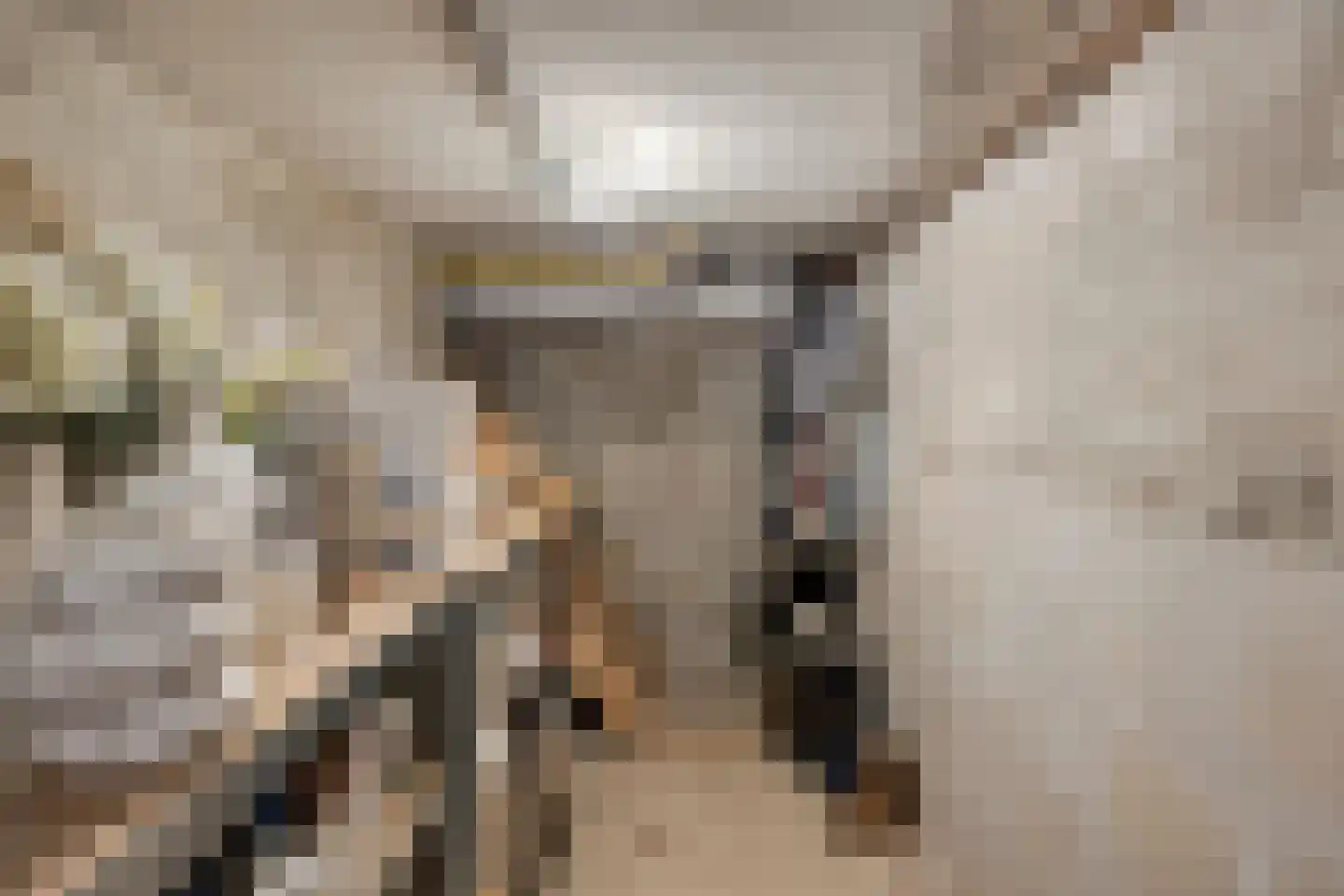 Heistraat 24 Rijen thumbnail 10