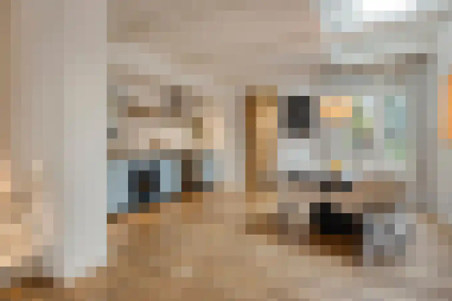 Heistraat 24 Rijen thumbnail 16