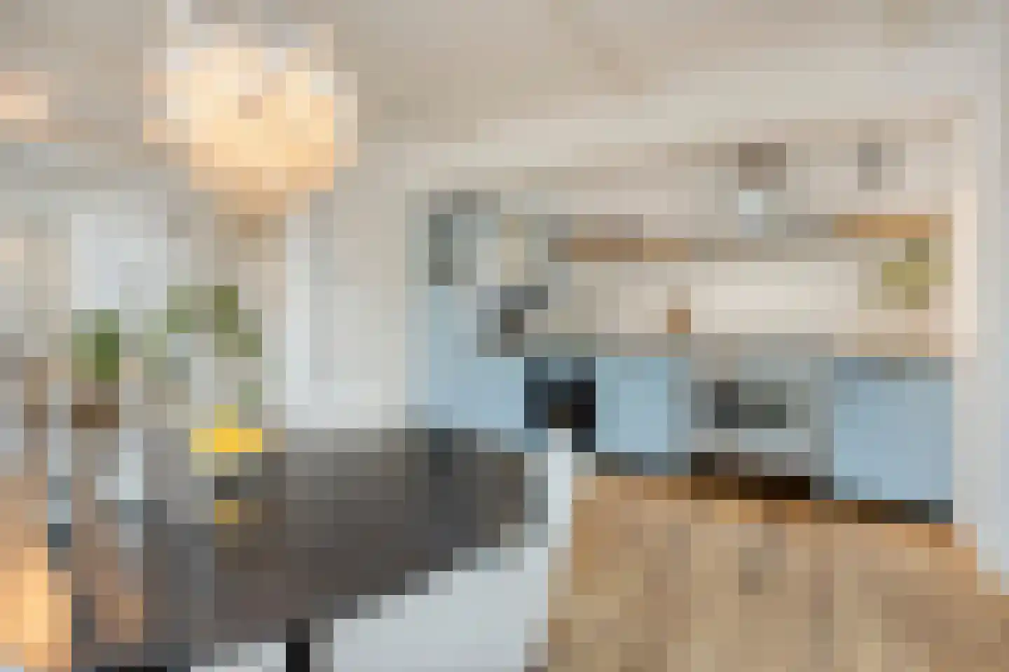 Heistraat 24 Rijen thumbnail 17