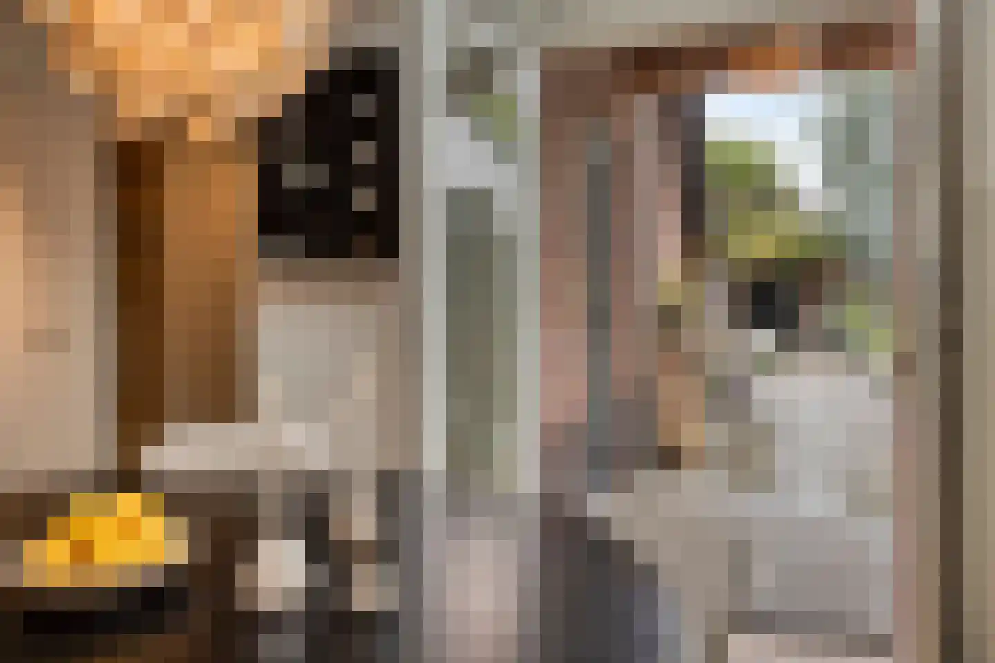 Heistraat 24 Rijen thumbnail 19