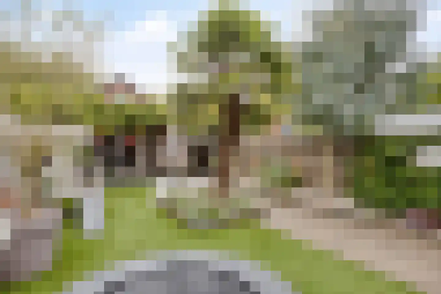 Heistraat 24 Rijen thumbnail 28