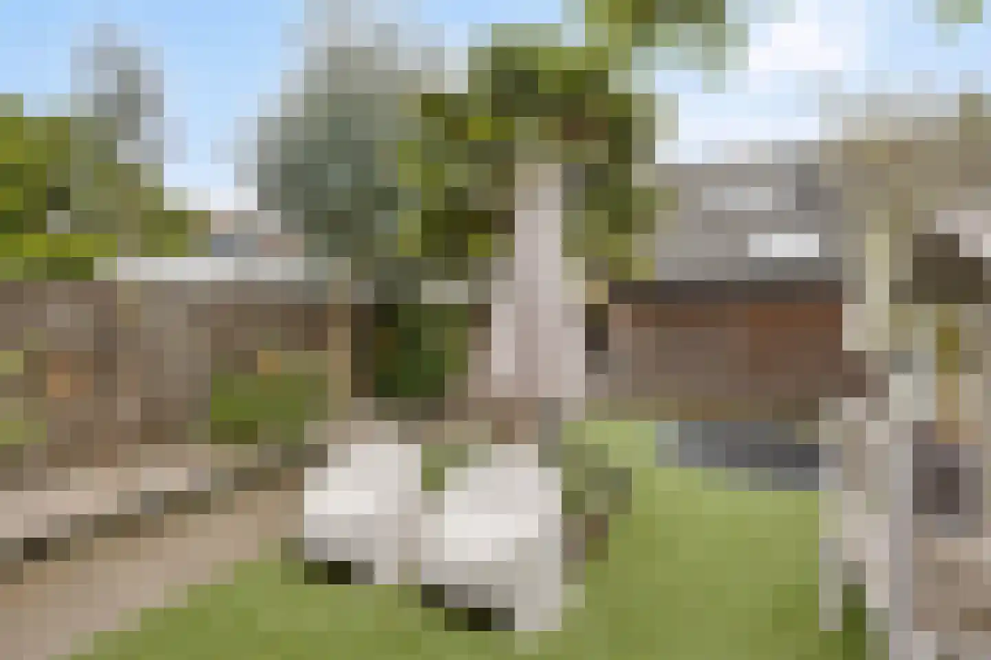 Heistraat 24 Rijen thumbnail 29