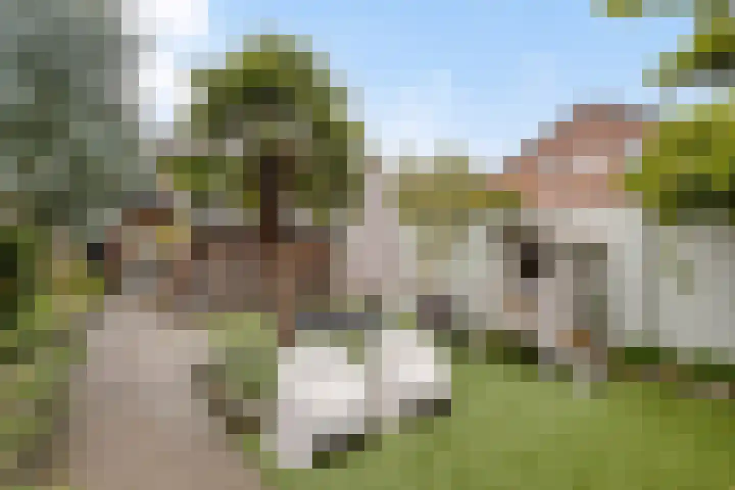 Heistraat 24 Rijen thumbnail 31
