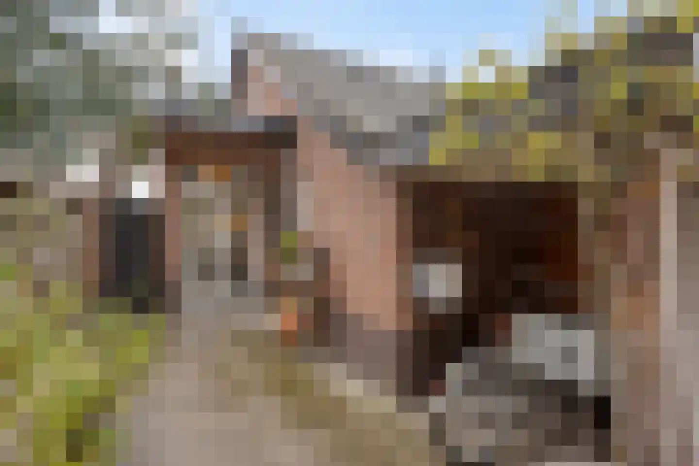Heistraat 24 Rijen thumbnail 32
