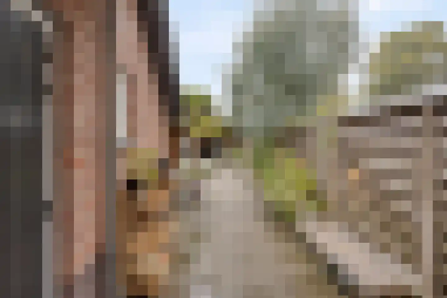 Heistraat 24 Rijen thumbnail 33